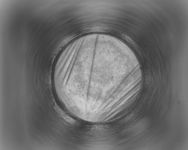 X0000062870938200601271552