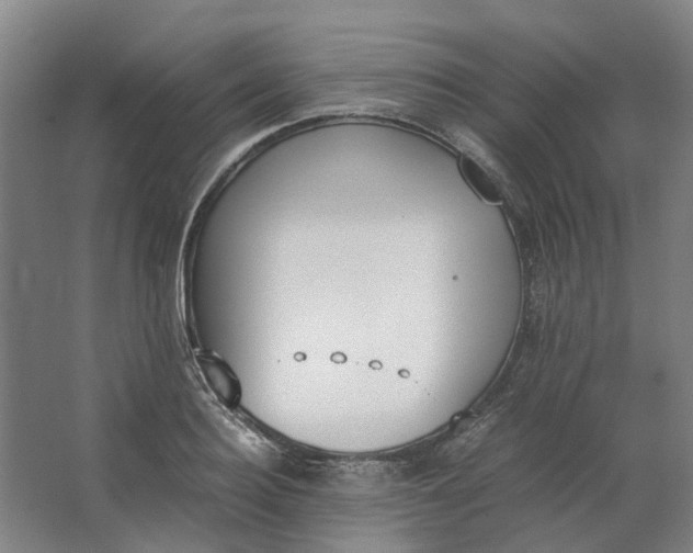 X0000062870940200601271552