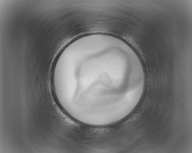 X0000062870941200601271552