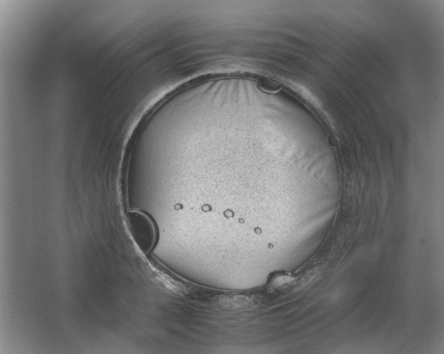 X0000062870943200601271552