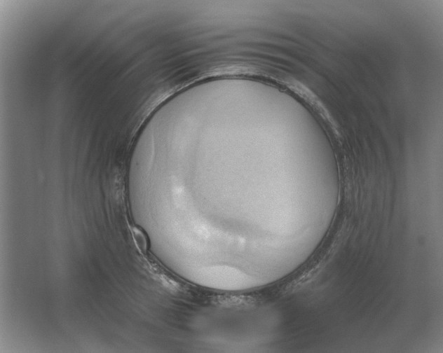 X0000062870945200601271552