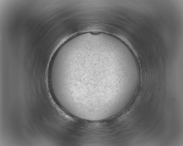 X0000062870949200601271552