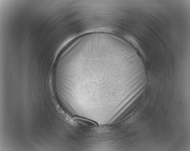 X0000062870952200601271552