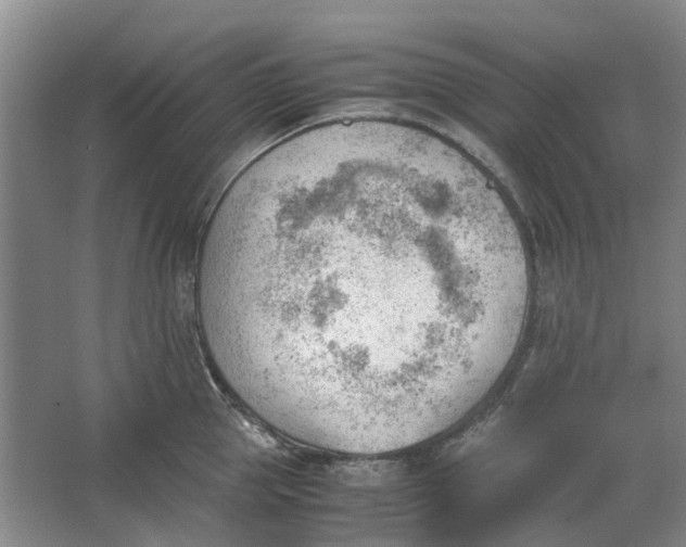 X0000062870953200601271552