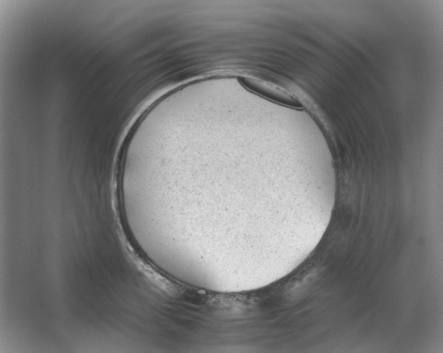 X0000062870955200601271552