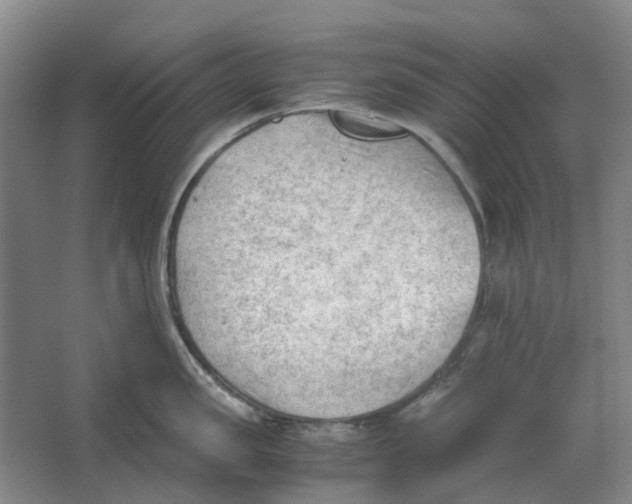 X0000062870957200601271552