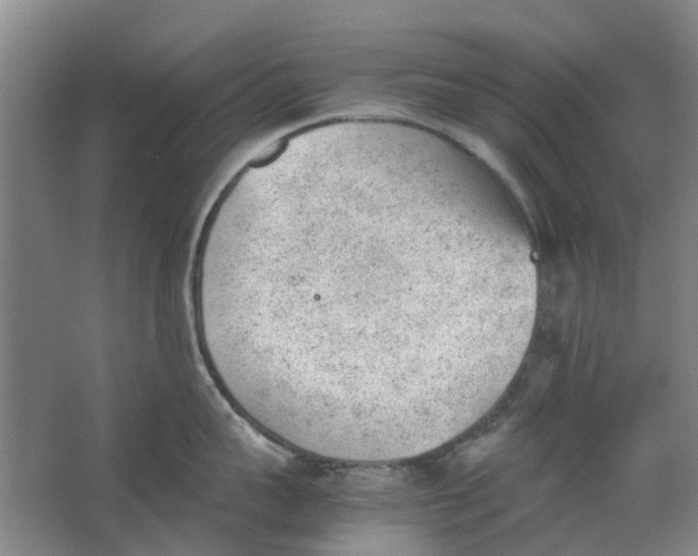 X0000062870959200601271552