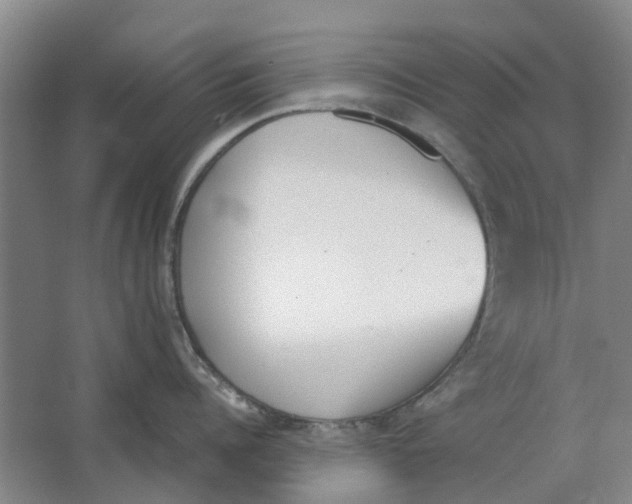 X0000062870960200601271552