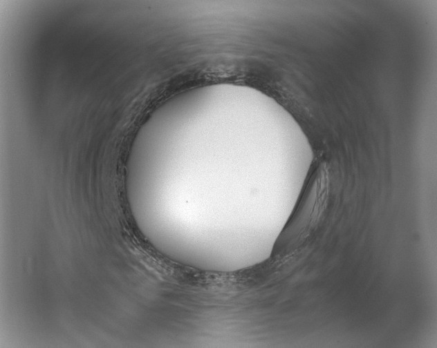 X0000062870961200601271552