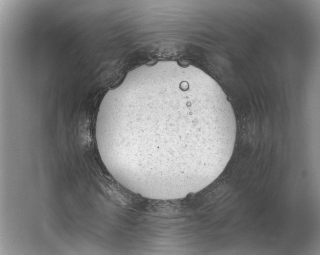 X0000062870962200601271552