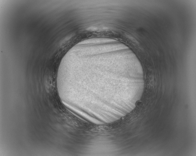 X0000062870966200601271551