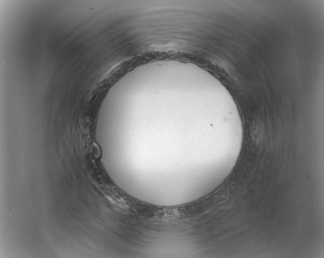 X0000062870968200601271551