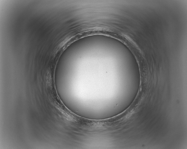 X0000062870969200601271551