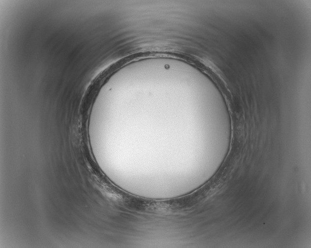 X0000062870971200601271551