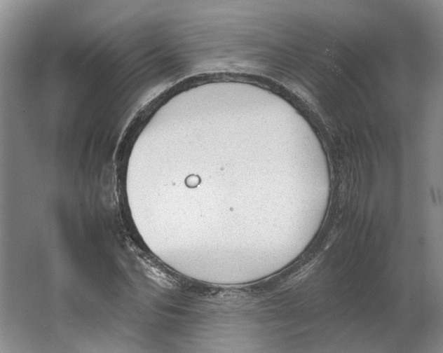 X0000062870974200601271551