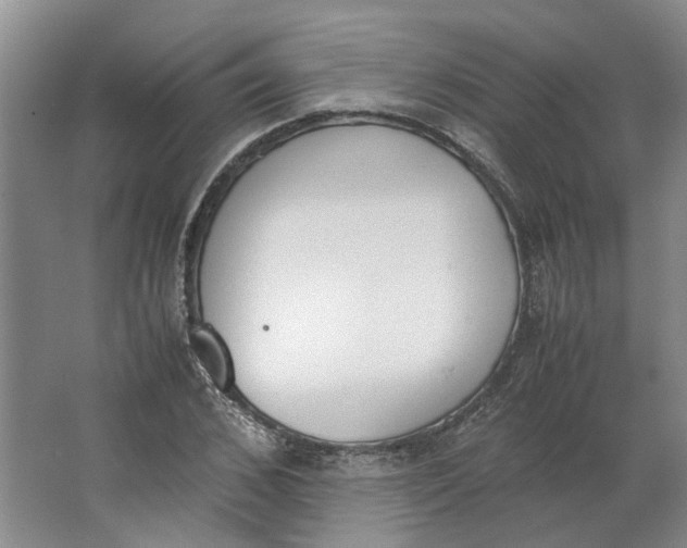 X0000062870976200601271551