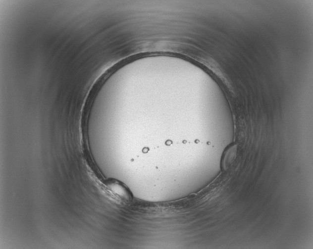 X0000062870980200601271551