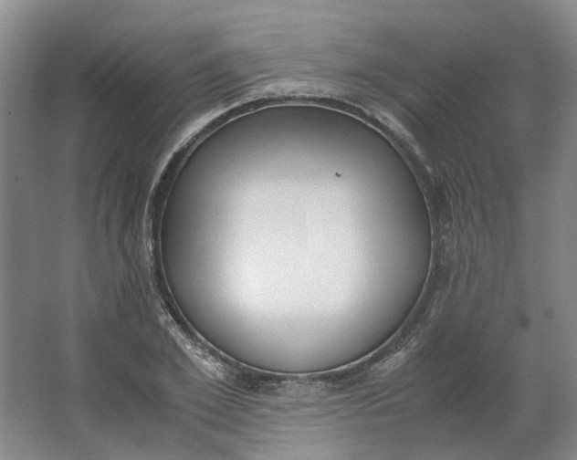 X0000062870981200601271551