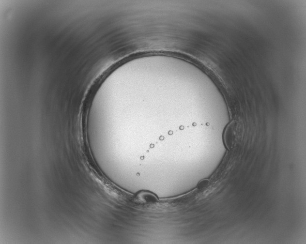 X0000062870982200601271551