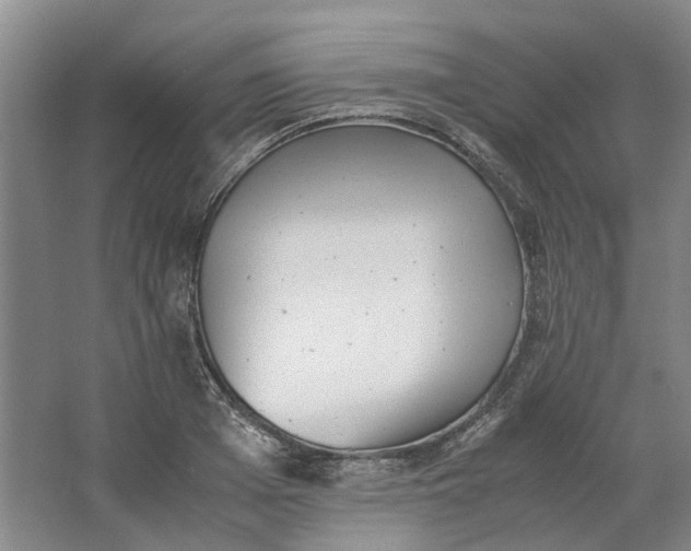 X0000062870985200601271551