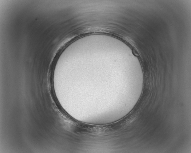 X0000062870987200601271551