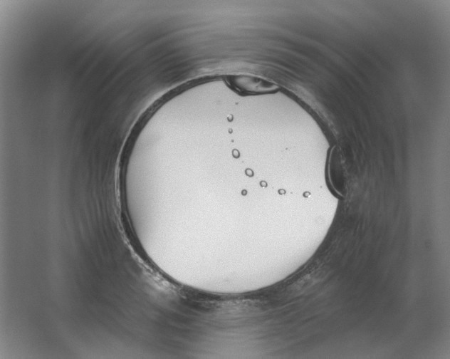 X0000062870988200601271551