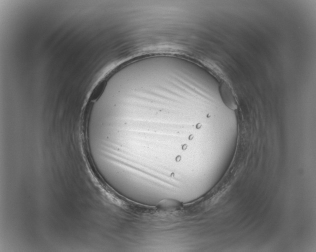 X0000062870989200601271551