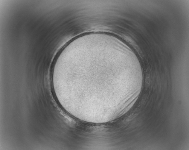 X0000062870990200601271551