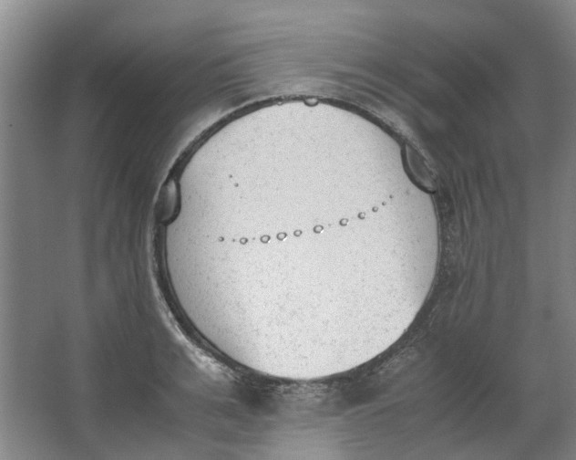 X0000062870991200601271551