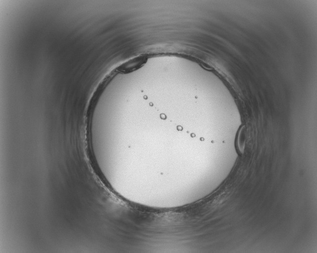 X0000062870992200601271551