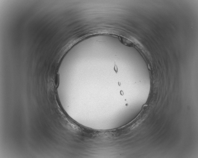 X0000062870993200601271551