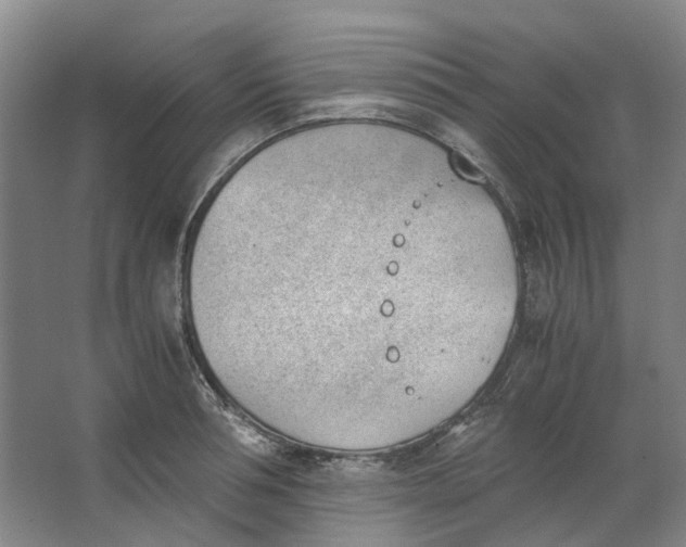 X0000062870994200601271551