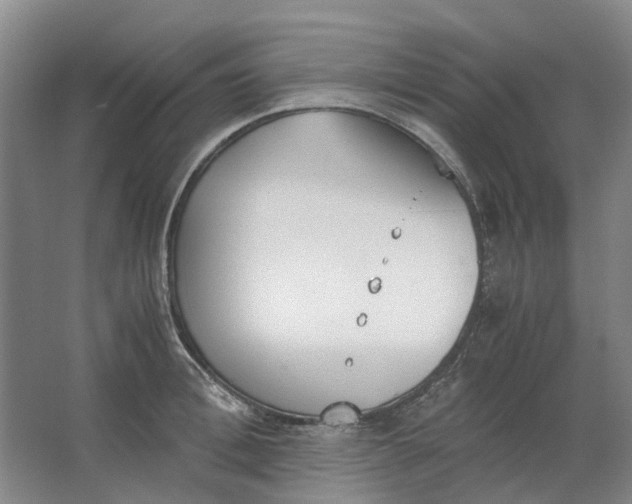 X0000062870996200601271551