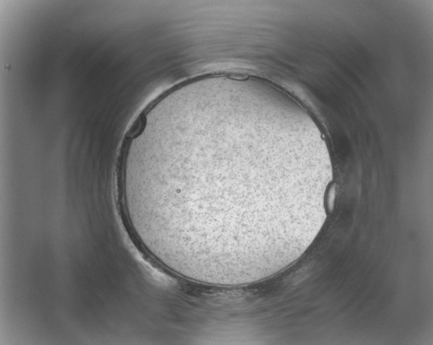 X0000062870999200601271551