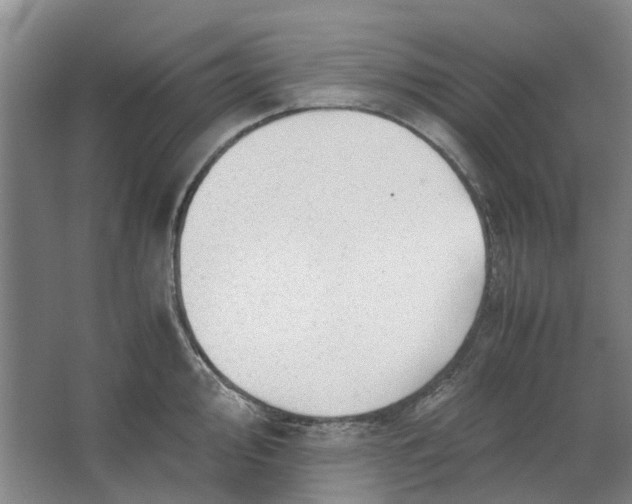 X0000062871000200601271551