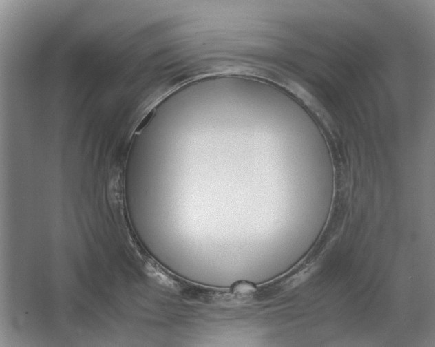 X0000062871001200601271551