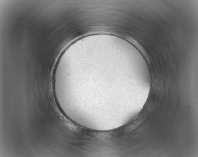 X0000062871004200601271551