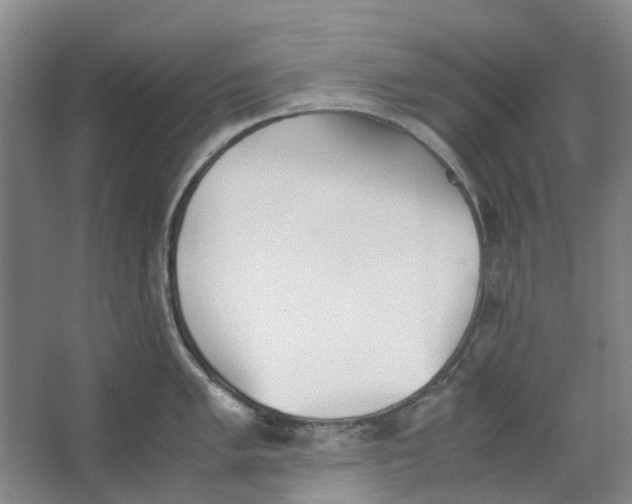 X0000062871005200601271551