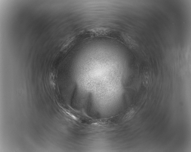 X0000062871010200601271550