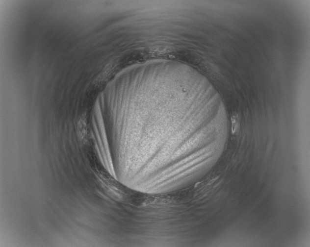 X0000062871011200601271550