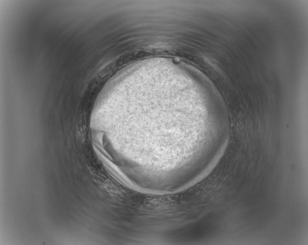 X0000062871015200601271550