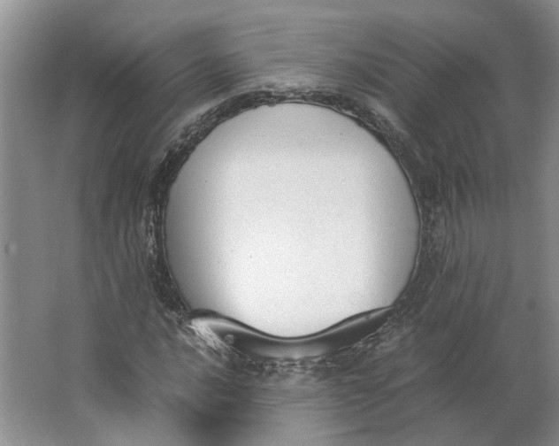 X0000062871016200601271550