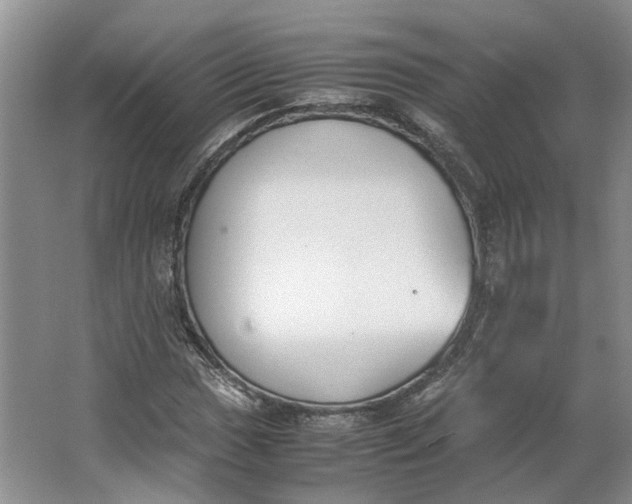 X0000062871017200601271550