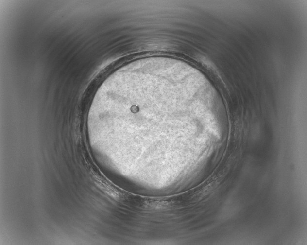 X0000062871019200601271550