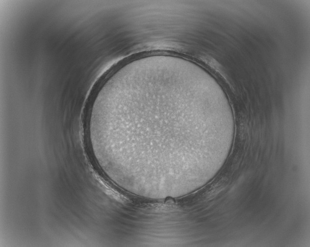 X0000062871024200601271550