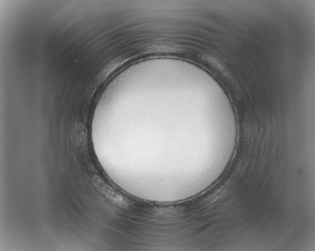 X0000062871025200601271550