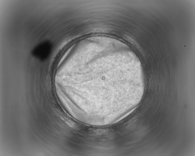 X0000062871027200601271550