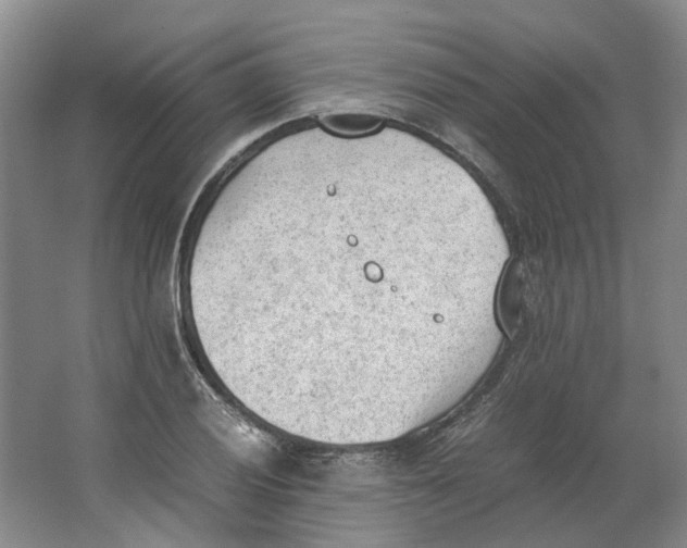 X0000062871028200601271550