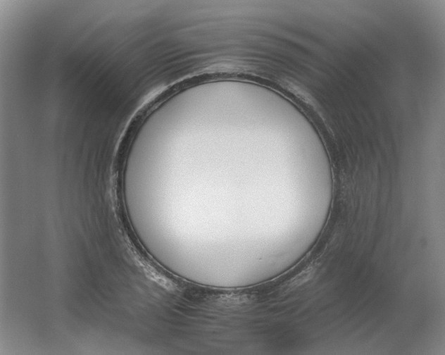 X0000062871029200601271550