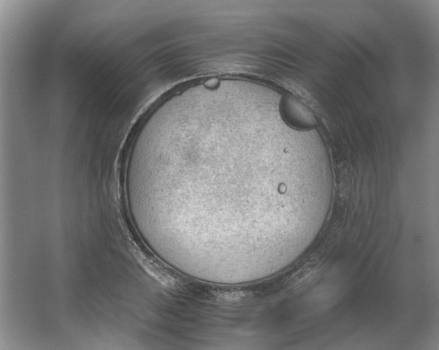 X0000062871031200601271550